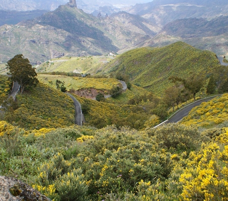 Gran Canaria voor beginners – De TOP 10 die je moet gezien hebben. Maar niet alleen voor beginners