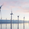 De wind die goud waard is: Zuid-Gran Canaria, het mariene windjuweel van de Atlantische Oceaan