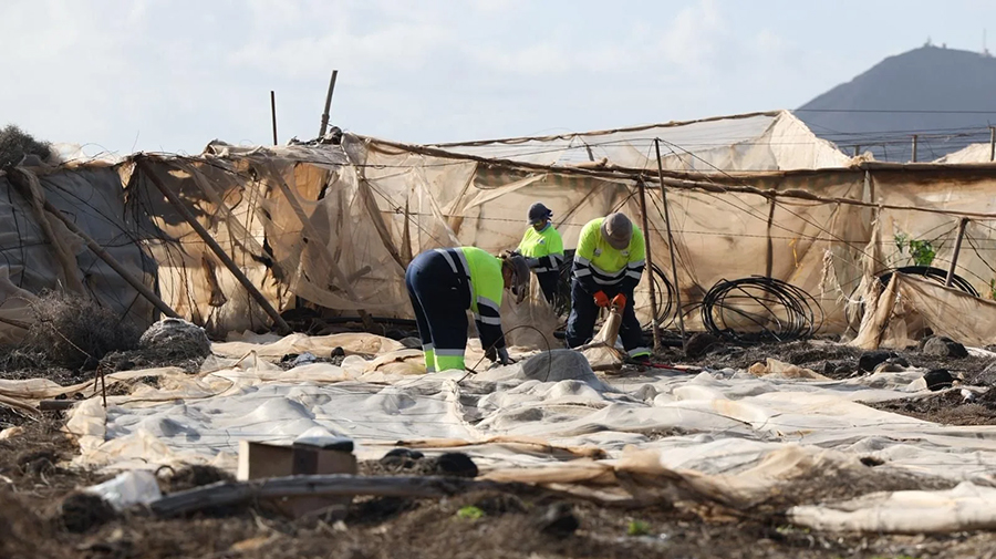 Het zuidoosten van Gran Canaria ruimt 75 hectare aan kassen op in de drie gemeenten