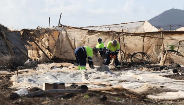 Het zuidoosten van Gran Canaria ruimt 75 hectare aan kassen op in de drie gemeenten