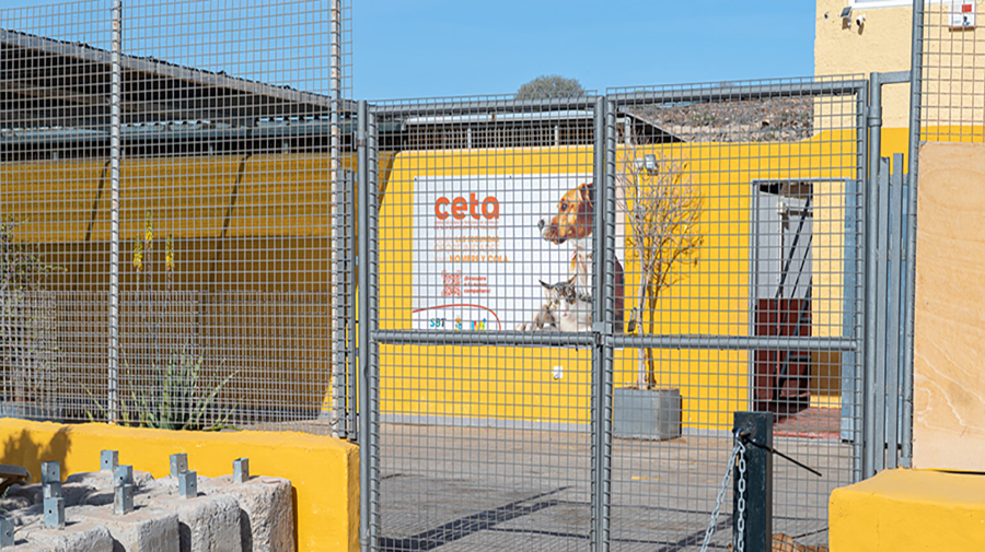 San Bartolomé de Tirajana stelt 10.000 m² ter beschikking voor een regionaal dierenasiel