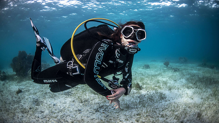 Buceo Pandora - Arinaga