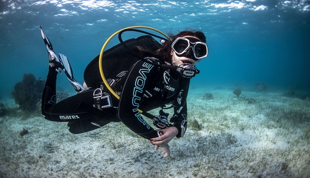 Buceo Pandora - Arinaga