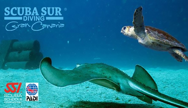 Scuba Sur Diving - Arguineguín