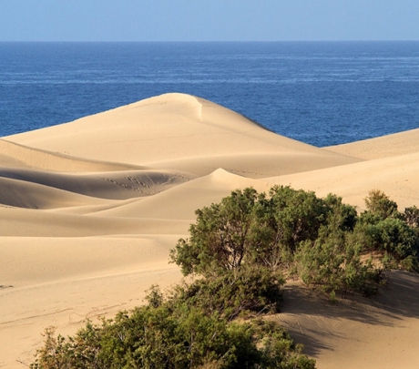 Gran Canaria is een fascinerend eiland met een grote verscheidenheid aan landschappen en activiteiten