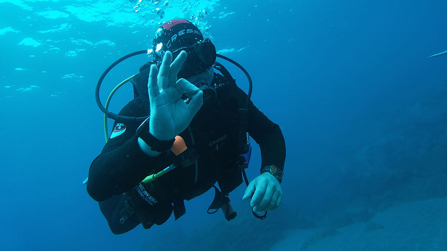 Puerto Rico Diving - Puerto Rico