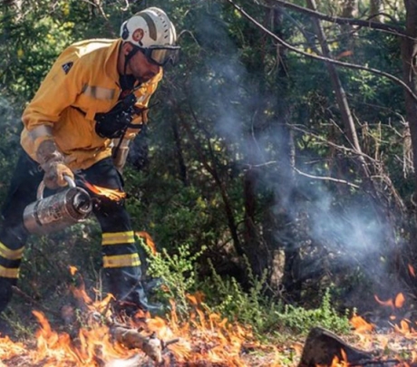 Acuut bosbrandgevaar op Gran Canaria: Strenge verboden vanaf vandaag ter bescherming van de natuur