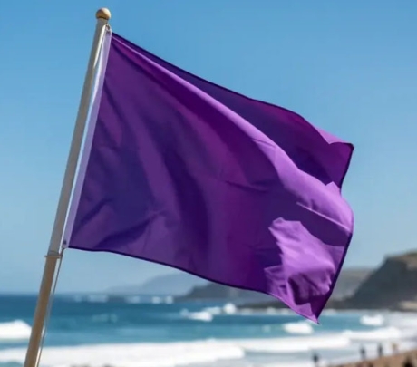De paarse vlag op stranden: wat betekent die en waarom je voorzichtig moet zijn