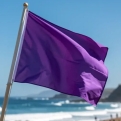 De paarse vlag op stranden: wat betekent die en waarom je voorzichtig moet zijn