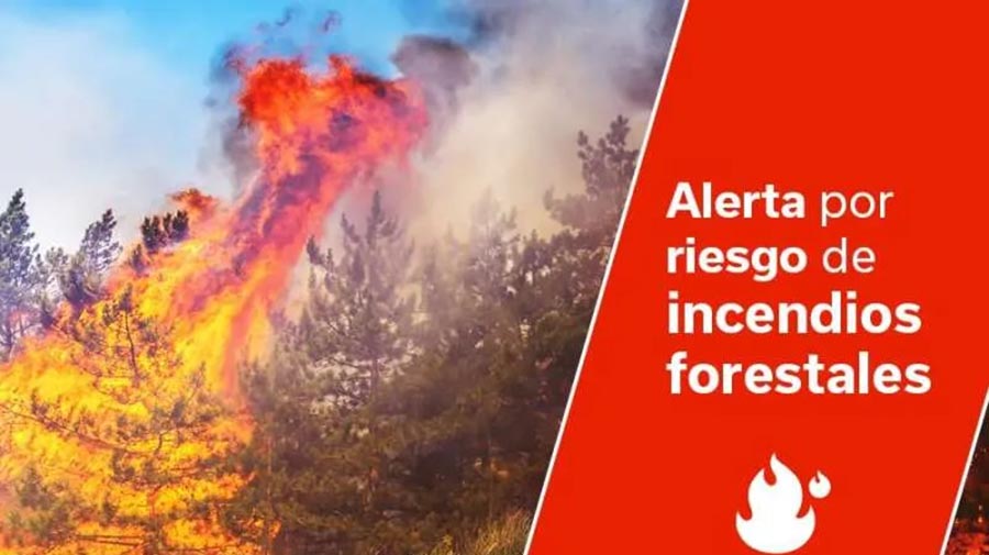 Bosbrandalarm op Gran Canaria en Tenerife: dit is nu verboden