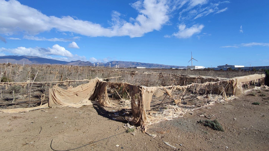 Gran Canaria verklaart de strijd aan tegen plasticafval