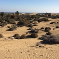 Nieuwe meertalige waarschuwingen en drones om de duinen van Maspalomas te beschermen