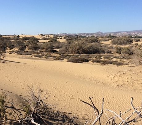 Cabildo Gran Canaria verscherpt toezicht in beschermde natuurgebieden